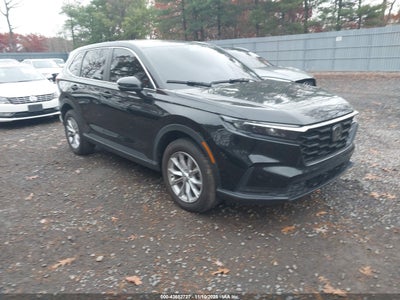 HONDA CR-V 2024