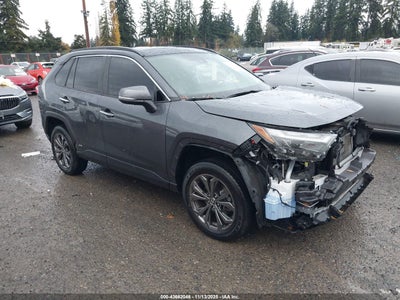 TOYOTA RAV4 HYBRID 2024