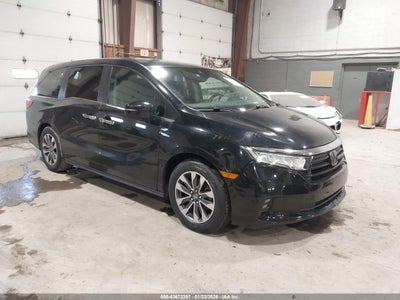 HONDA ODYSSEY 2021