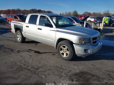 RAM DAKOTA 2011
