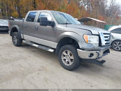 FORD F-150 2009