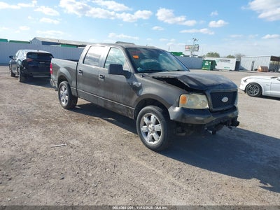 FORD F-150 2006