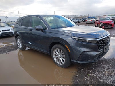 HONDA CR-V 2024
