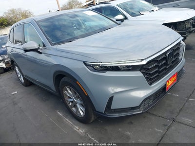HONDA CR-V 2025