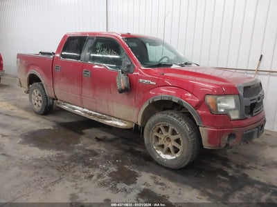 FORD F-150 2010