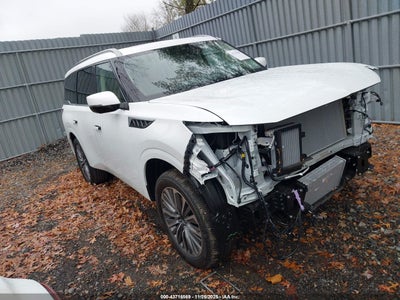 INFINITI QX80 2026