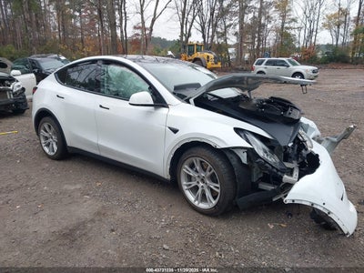 TESLA MODEL Y 2021