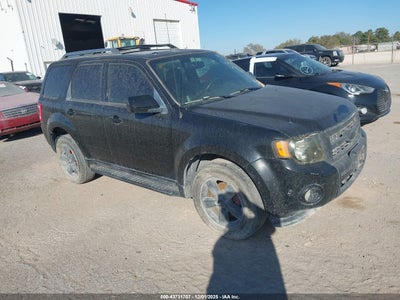 FORD ESCAPE 2010