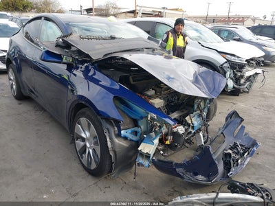 TESLA MODEL Y 2021