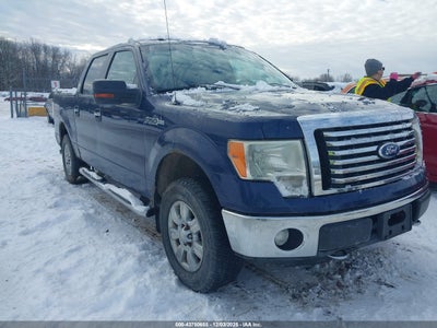 FORD F-150 2011