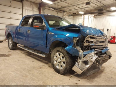 FORD F-150 2013