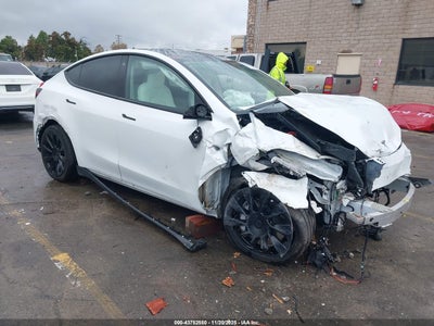 TESLA MODEL Y 2021