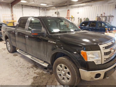 FORD F-150 2013