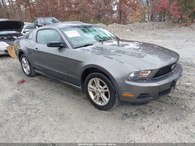 FORD MUSTANG 2010