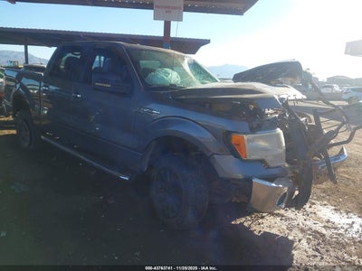 FORD F-150 2014