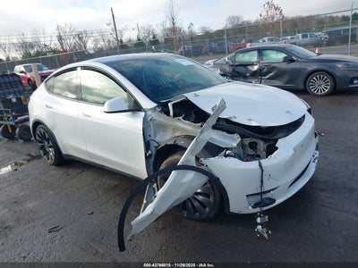 TESLA MODEL Y 2021