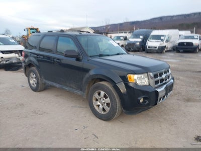 FORD ESCAPE 2011