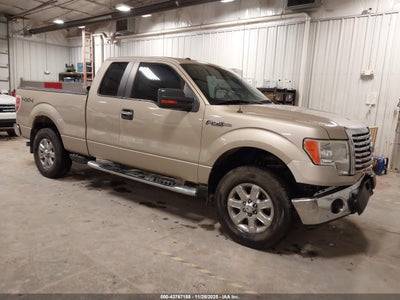 FORD F-150 2010