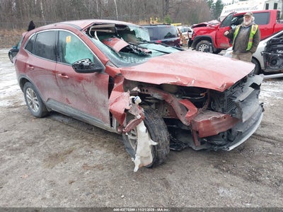 FORD ESCAPE 2020