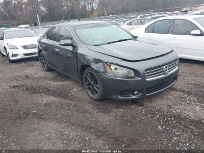 NISSAN MAXIMA 2011