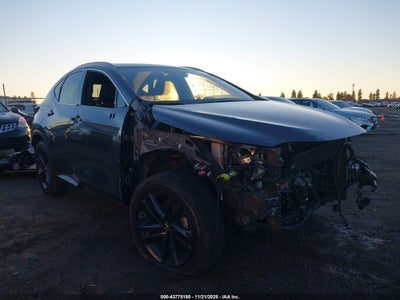 LEXUS NX 450H+ 2024