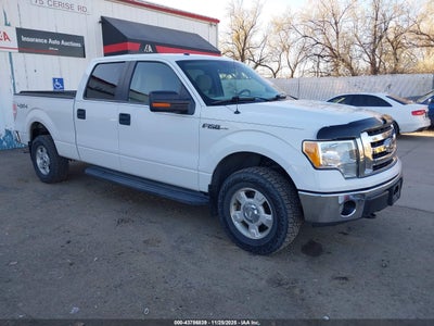 FORD F-150 2010