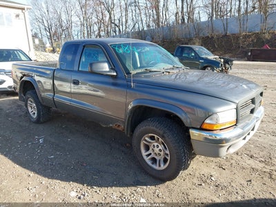 DODGE DAKOTA 2004