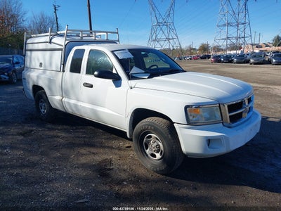 RAM DAKOTA 2011