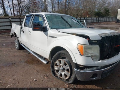 FORD F-150 2010