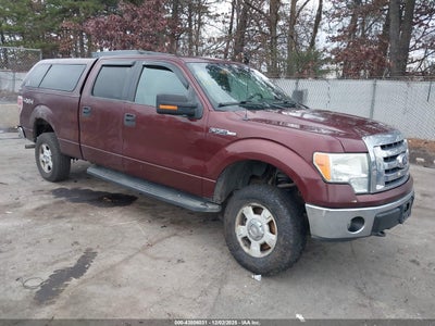 FORD F-150 2010