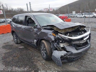 HONDA PILOT 2021