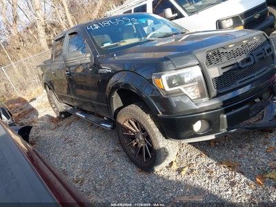 FORD F-150 2009