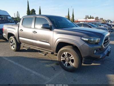TOYOTA TACOMA 2019