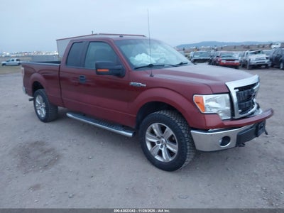 FORD F-150 2014