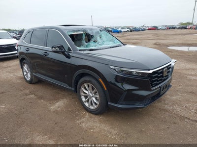HONDA CR-V 2025
