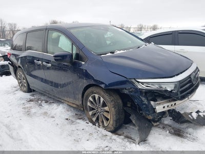 HONDA ODYSSEY 2022