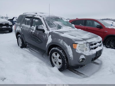 FORD ESCAPE 2010