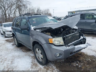 FORD ESCAPE 2010