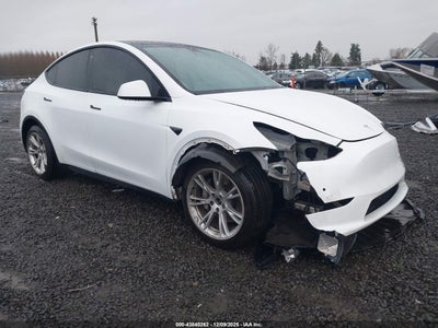 TESLA MODEL Y 2020