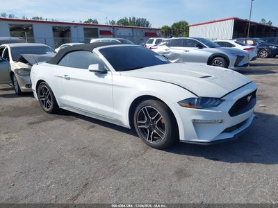 FORD MUSTANG 2019