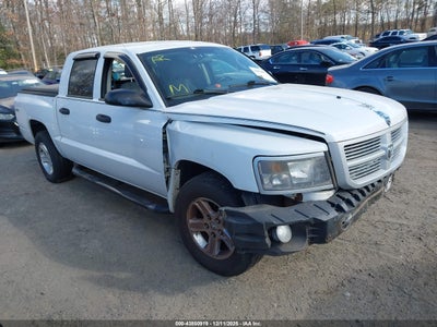 RAM DAKOTA 2011