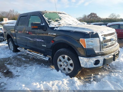 FORD F-150 2013