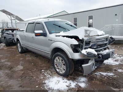FORD F-150 2010