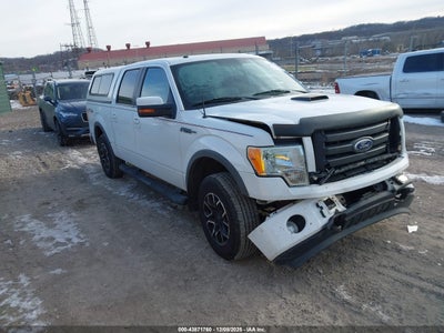 FORD F-150 2010