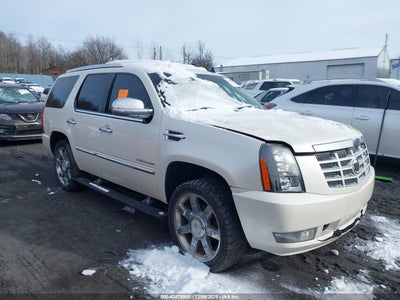 CADILLAC ESCALADE 2010