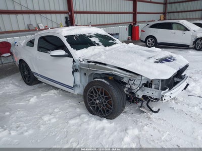FORD SHELBY GT500 2014