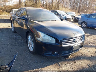 NISSAN MAXIMA 2010