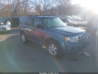 FORD ESCAPE 2010