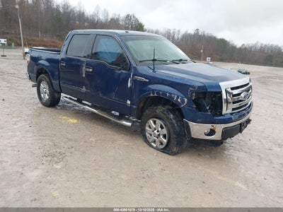 FORD F-150 2013