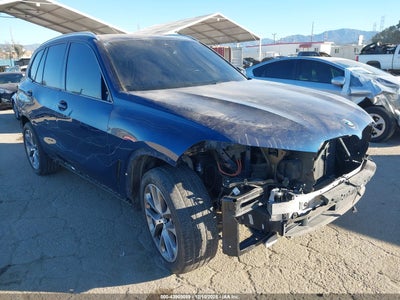 BMW X5 2019